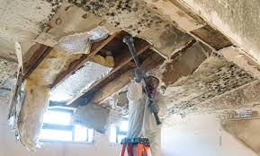 Asbestos and Lead Testing During Mold Inspection in El Paso De Robles, CA